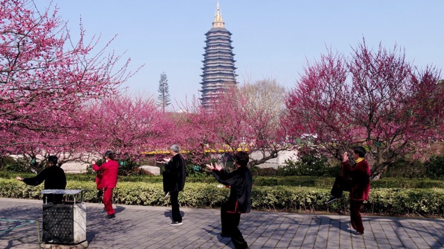 红梅公园 打太极人群