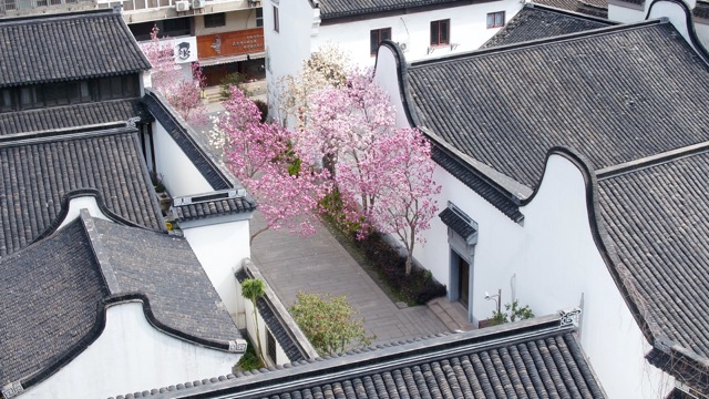 「天宁」前后北岸