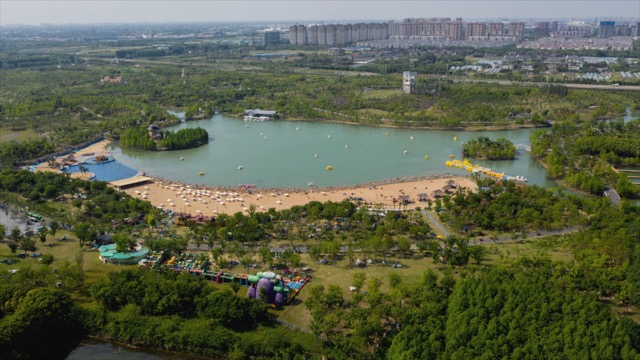 新龙生态林 核心区