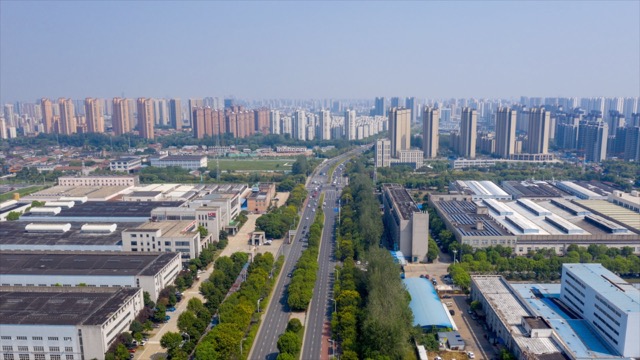 「钟楼」棕榈路 航拍