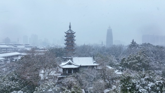 红梅公园 雪景