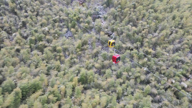 「溧阳」南山竹海观光缆车 