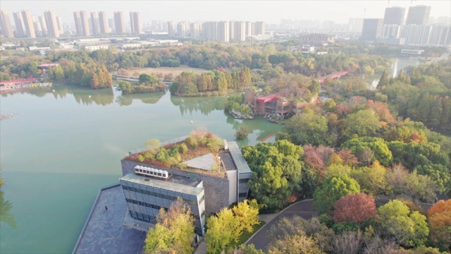 青枫公园 秋色