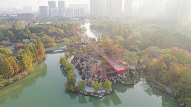 青枫公园 秋景