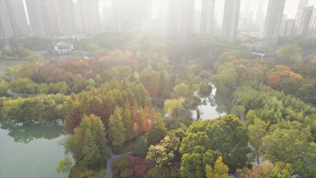 「钟楼」青枫公园秋景