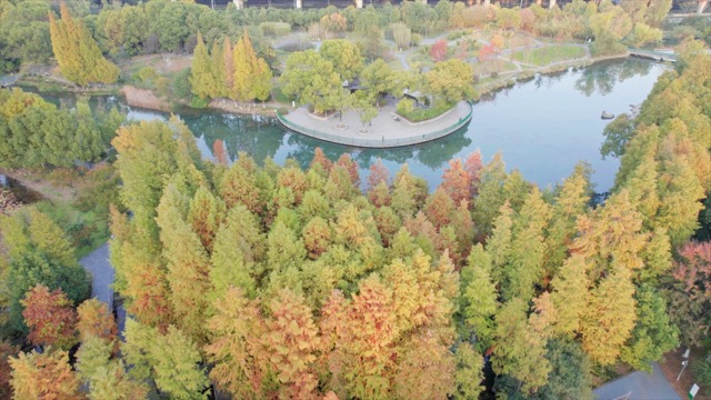 翠竹公园 秋景