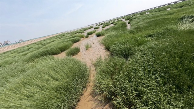 海滩地空飞行