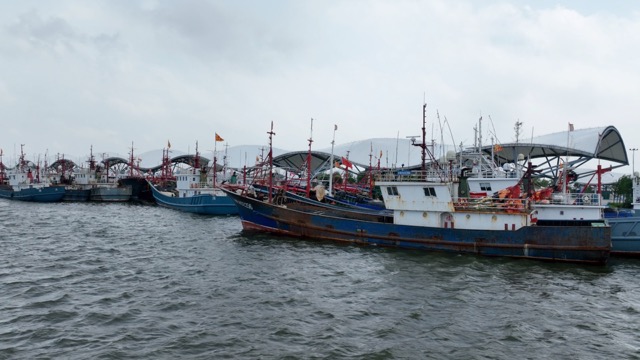 渔港