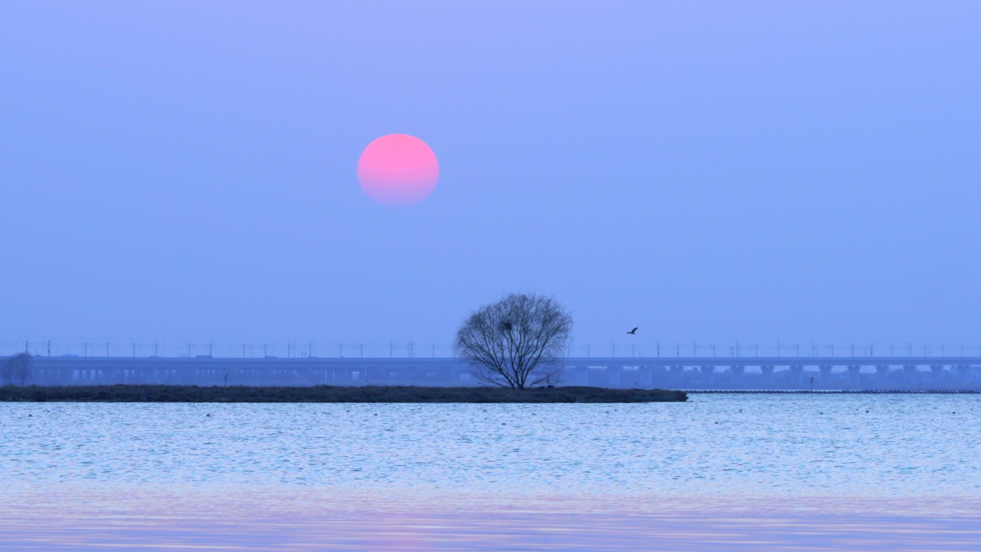 西太湖 生态水域