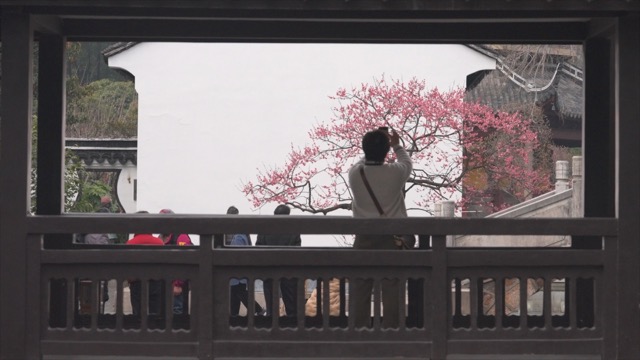 红梅公园