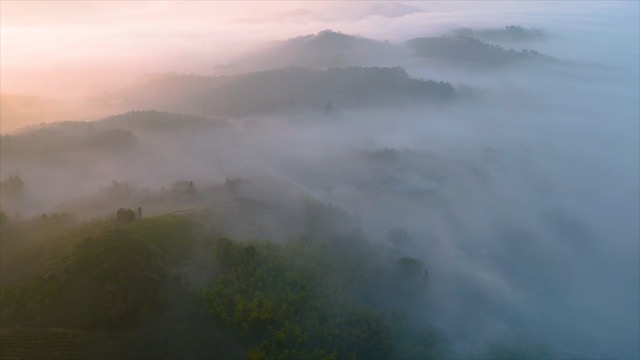 「溧阳」天目湖茶山云海日出
