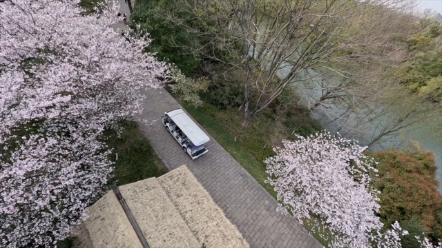「武进」淹城樱花季