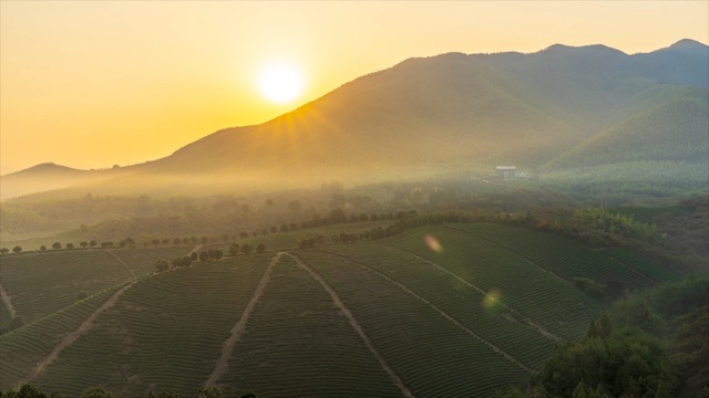「溧阳」山区茶山日出