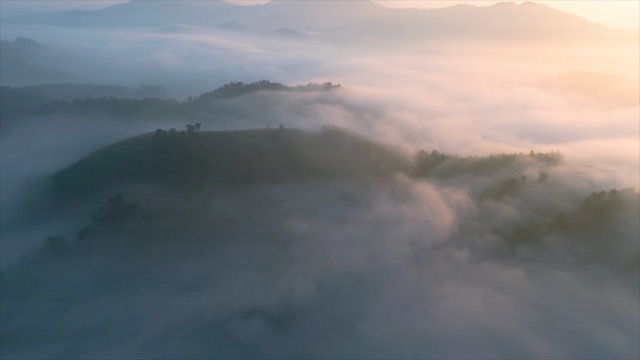 「溧阳」茶园平流雾