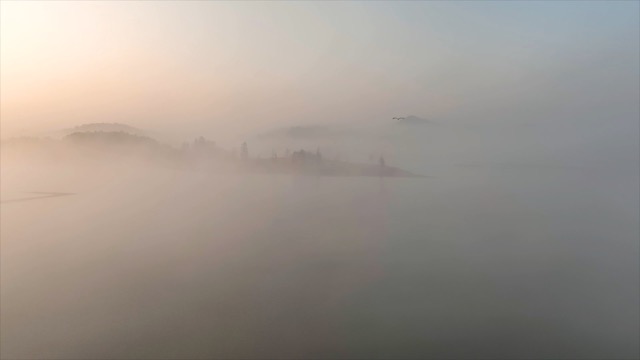 「溧阳」大溪水库湿地飞鸟