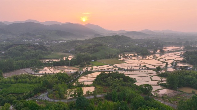 「溧阳」戴埠水稻田