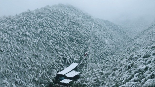 「溧阳」南山竹海小火车