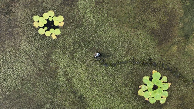 「金坛」长荡湖湿地钓鱼人