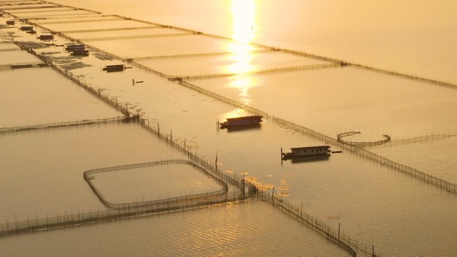 「金坛」长荡湖风光