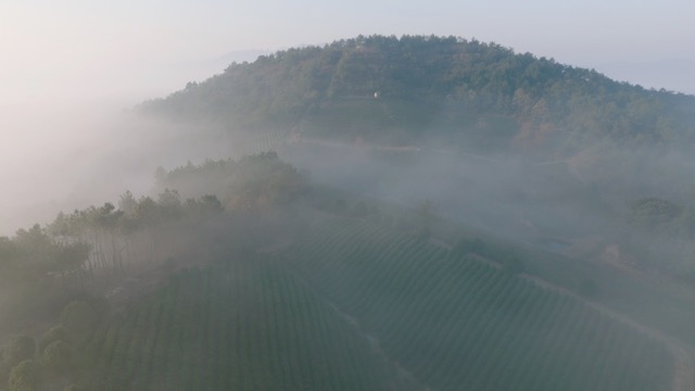 「溧阳」山区平流雾