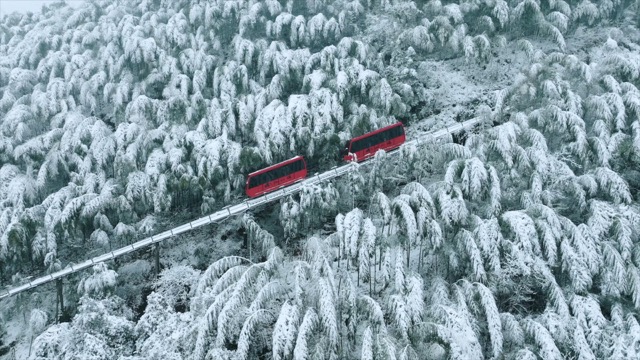 「溧阳」南山竹海小火车