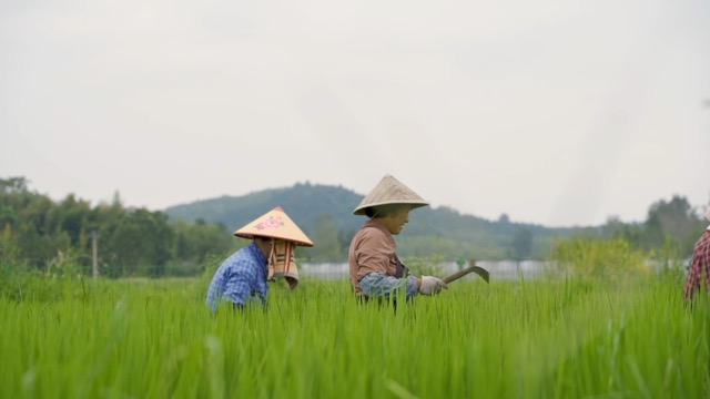 「溧阳」干农活