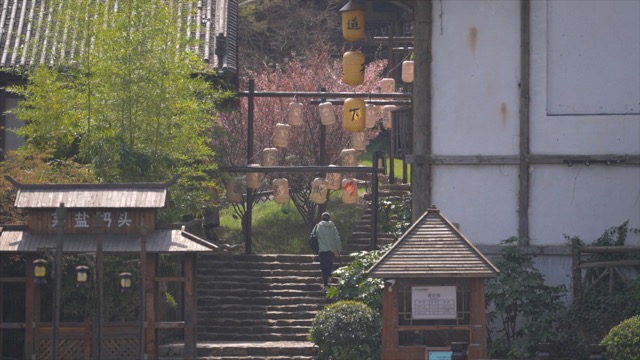盐湖城春景