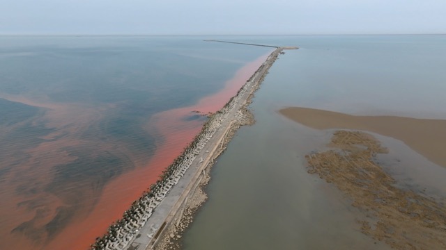 东营黄河入海口