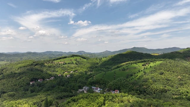 「溧阳」溧阳山林