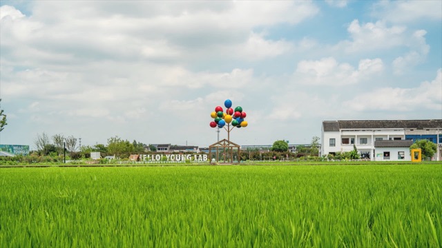 「新北」8K花开西庄