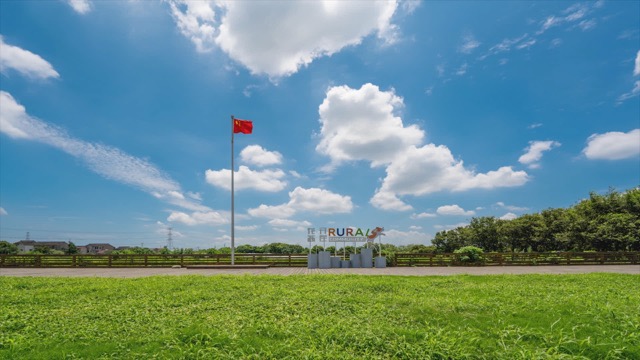 「新北」8K花开西庄