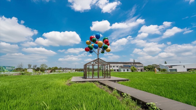 「新北」8K花开西庄，大范围移动延时