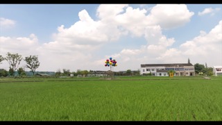「新北」花开西庄