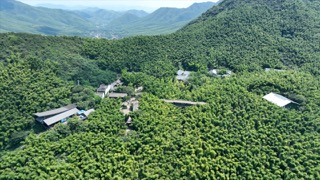 「溧阳」南山竹海鸡鸣村