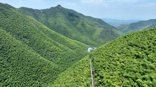 「溧阳」南山竹海