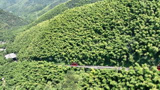 「溧阳」南山竹海地轨