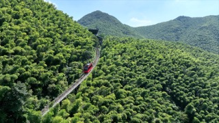 「溧阳」南山竹海