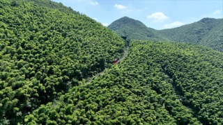 「溧阳」南山竹海地轨