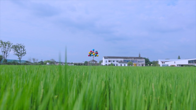 「新北」花开西庄