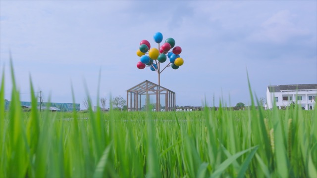 「新北」花开西庄