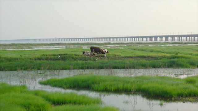 石臼湖