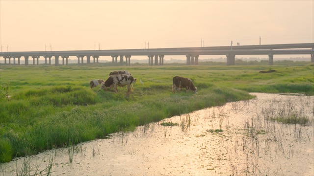 石臼湖