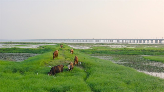 石臼湖