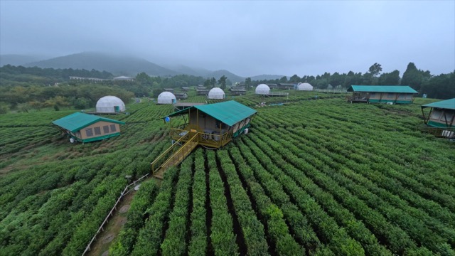 「金坛」茅山森林世界
