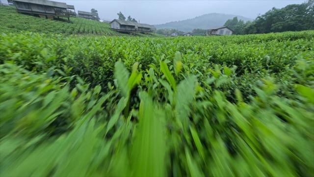 「金坛」茅山森林世界，露营谷