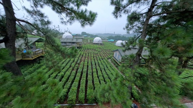「金坛」茅山森林世界，露营谷