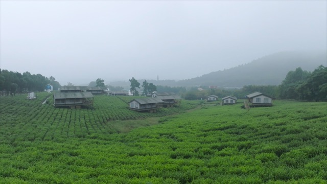 「金坛」茅山森林世界