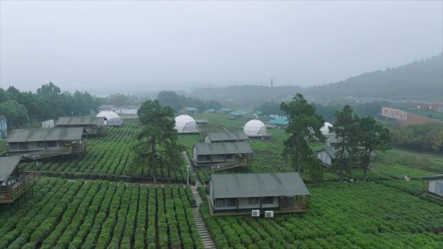 「金坛」茅山森林世界