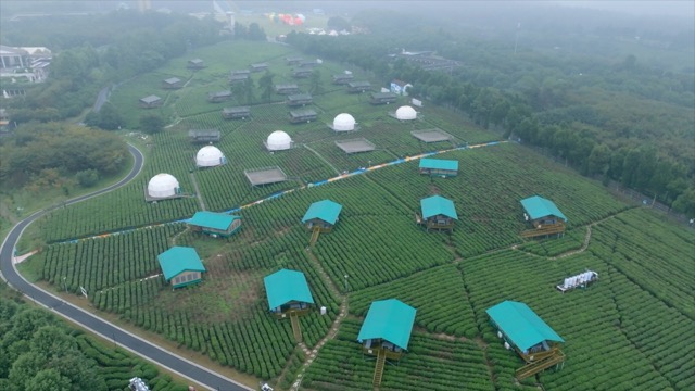 「金坛」茅山森林世界