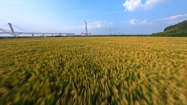 「新北」常泰大桥